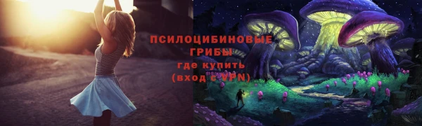 Альфа ПВП Осташков